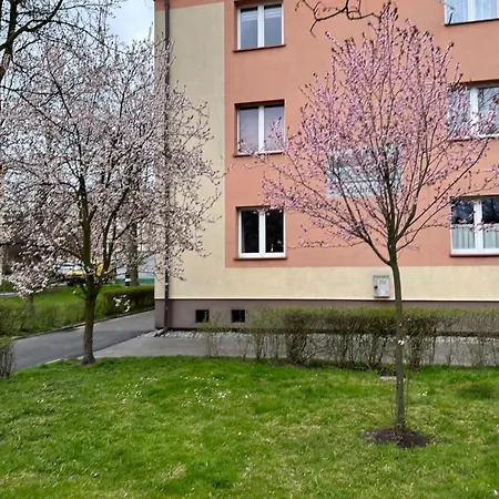 Dobra Z Parkingiem, Wifi, Self-check In, Galeria Handlowa Katovice