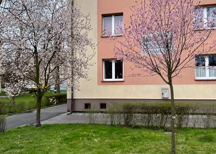 Dobra Z Parkingiem, Wifi, Self-check In, Galeria Handlowa Katowice